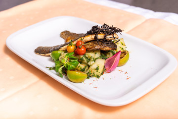 Grilled trout, two slices with vegetables served on a plate