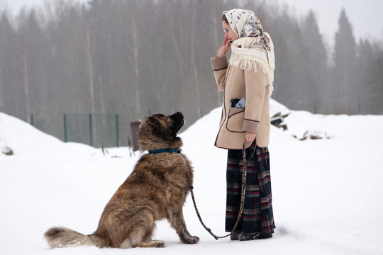 Woman trains Caucasian Shepherd and yard dog on a snowy ground in the park