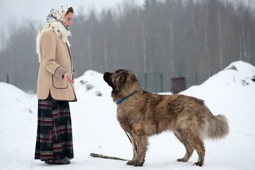 Woman trains Caucasian Shepherd and yard dog on a snowy ground in the park