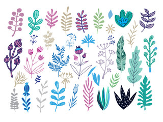 Set of herbs and flowers11