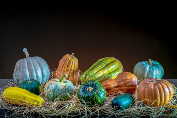 Different type of pumpkins on dark background. Green, yellow and orange colors. Copy space for text.