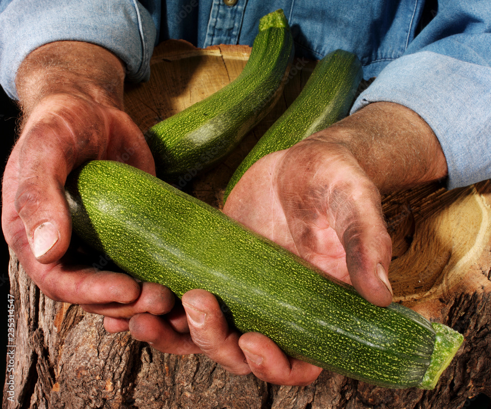 Poster farmer holding courgette,zucchini