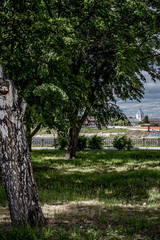 Obraz premium statue in the park