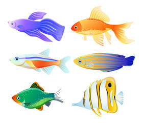 Naklejka premium Sea Creature Illustration for Educational Poster