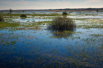Landscape with Biebrza river near Goniadz, Podlaskie, Poland