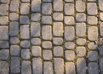 architecture,background,block,brick,cobblestone,construction,garden,grass,grass overgrown stone,gray,gray pavers,gray stone,green,ground,material,natural,old,outdoor,overgrown pavers,park,park path,pa