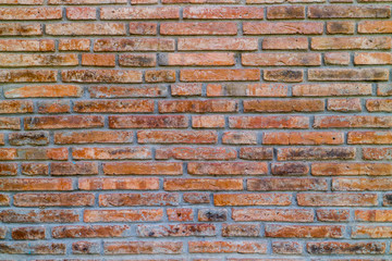Red brick wall the background.