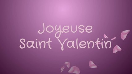 Animation Joyeuse Saint Valentin, Happy Valentine's day in french language, greeting card, pink petals, lilac background