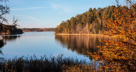 Fototapeta premium autumn landscape with water and trees
