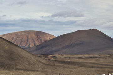 Canary Island desert