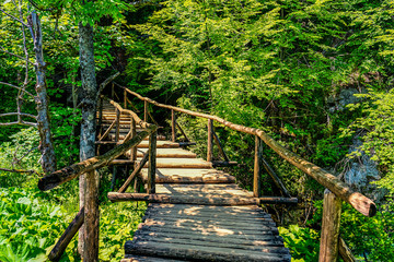 Fototapeta na wymiar Nationalpark Kroatien Holztreppe Wanderweg im Wald mit Holzgeländer mittig mit Bäumen links und rechte
