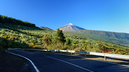 krajobraz pod wulkanem Teide, Teneryfa - obrazy, fototapety, plakaty