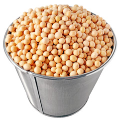 SOYA BEANS