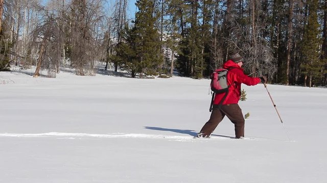 Man snowshoeing