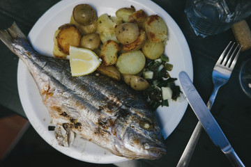 Portuguese Fish Plate 