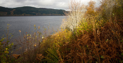 Loch Ness Autumn