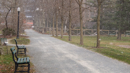 Fototapeta na wymiar Walking path in public gardens in winter with light snow falling, no people.