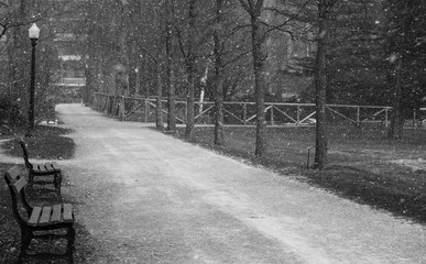Walking path in park, black and white, no people, snow flurries