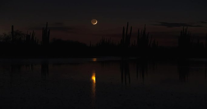 Sahuaro Moonset