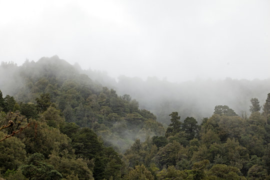 Fototapeta New Zealand, North Island