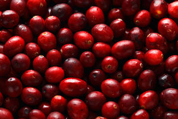 Fresh tasty Cranberry background, texture. close up. selected focus.