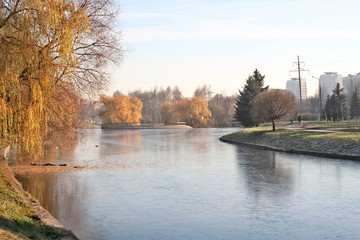 The first frost (morning frosts) on the pond, maple leaves frozen in the ice. City Park in late autumn