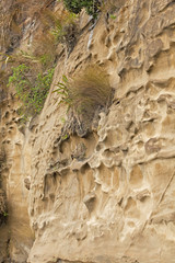 Three sisters, New Zealand