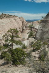 View into a canyon with towering pines, stone capped hoodoos, and a stepped trail curving up the hillside in the American southwest.
