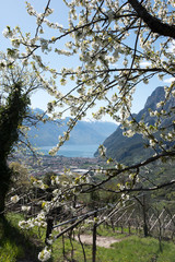 Walking along the riverside of Lake Garda, Italy