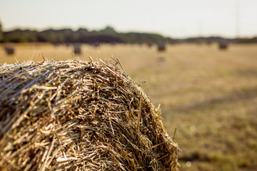Strohballen auf einem abgelegenem Feld