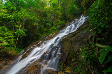 Beautiful tropical waterfall in lush surrounded by green forest.wet rock and moss.selective focus shot.