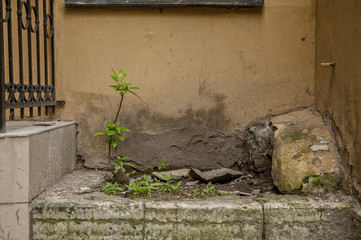 Architecture, Russia, Travel