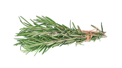 Fototapeta premium fresh rosemary isolated on white background