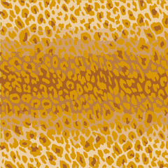 animal skin leopard pattern vector