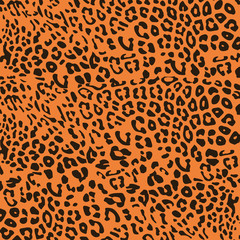 animal skin leopard pattern vector