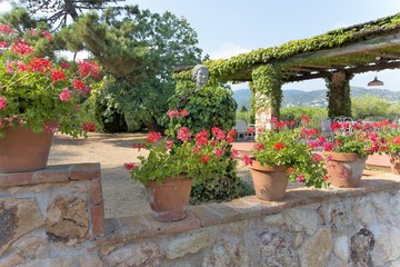 Pots of geraniums blooming on the fence of one of the city spanking in Tossa de Mar, Spain.