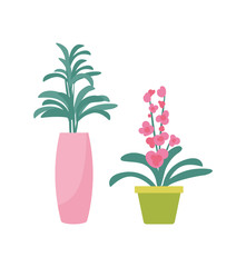 Flower Plant in Vase Potted Flourishing Vector