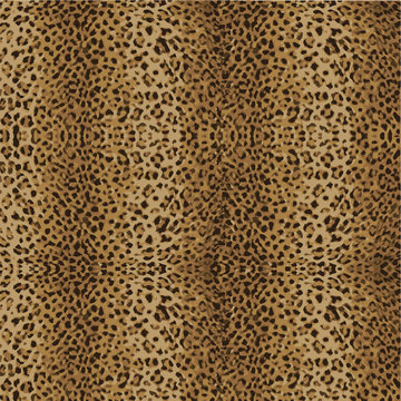 animal skin leopard pattern vector
