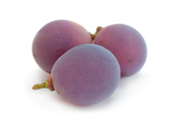 Grape 