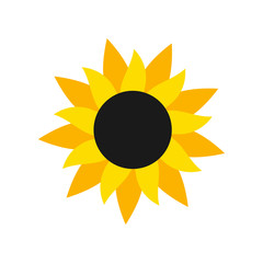 Sunflower icon, flat style.