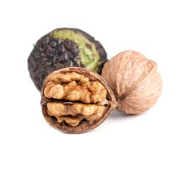 walnut in three stages - chopped, whole and in the shell