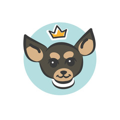 Cute chihuahua in crown. Funny chihuahua vector illustration. Portrait of a dog for decoration and design, logo template