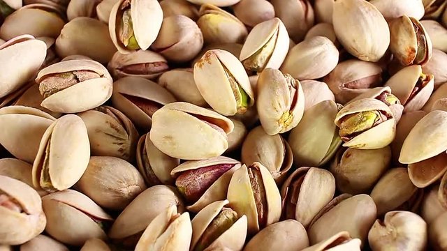 Pistachio, pistachios texture pattern rotate rotating plate