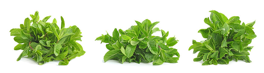 Set with mint bunches on white background