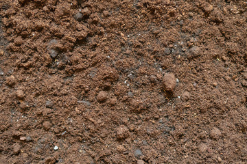 organic soil background texture f