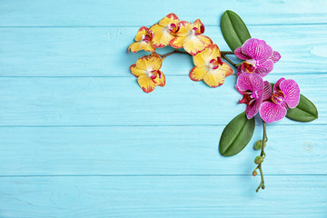 Beautiful tropical orchid flowers on color wooden background, top view. Space for text