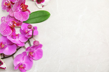 Beautiful tropical orchid flowers on light background, top view. Space for text