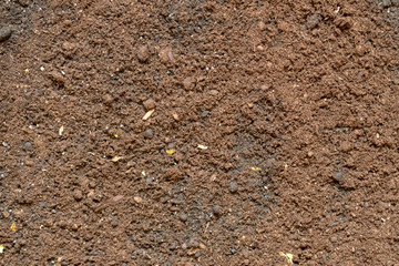 organic soil background texture f