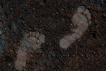 human bare foot step print on the soil ground f