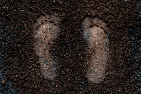 Human Bare Foot Step Print On The Soil Ground F